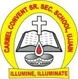 Carmel School